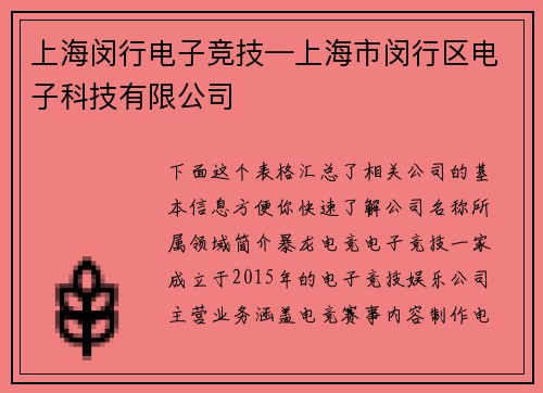 上海闵行电子竞技—上海市闵行区电子科技有限公司